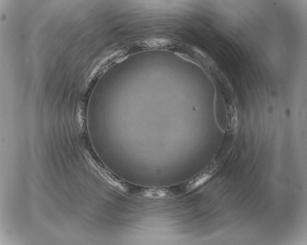 X0000052980762200507221327