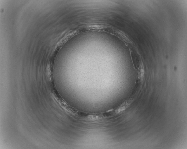 X0000052980764200507221327