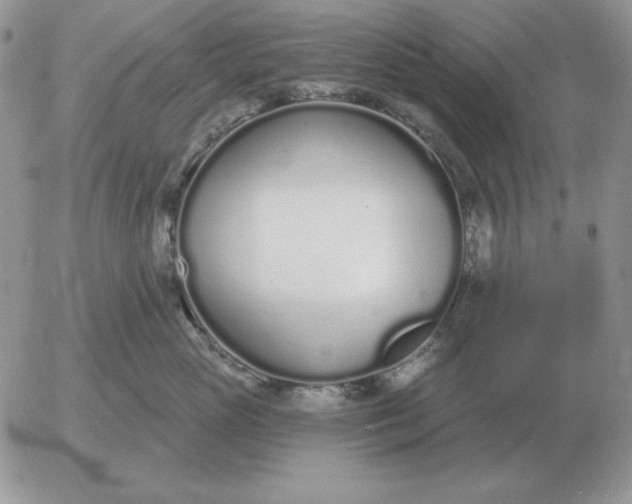 X0000052980765200507221327