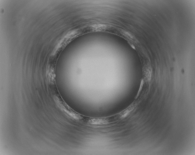 X0000052980766200507221327