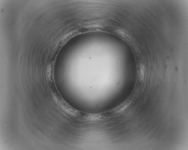 X0000052980767200507221327