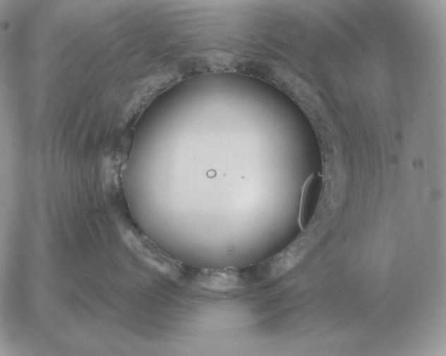 X0000052980768200507221327