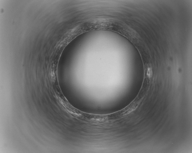 X0000052980771200507221326