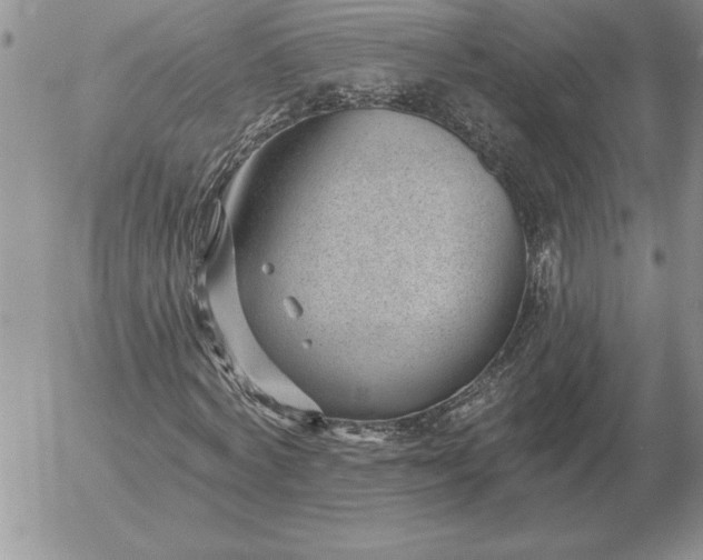 X0000052980772200507221326