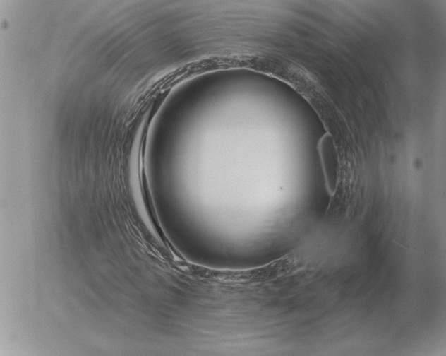 X0000052980773200507221326