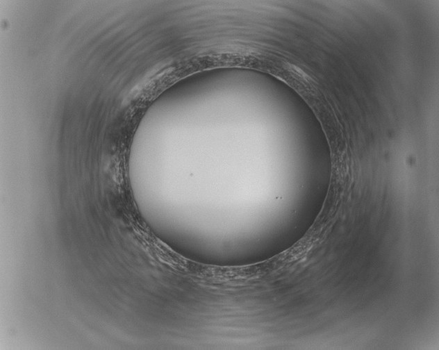 X0000052980774200507221326