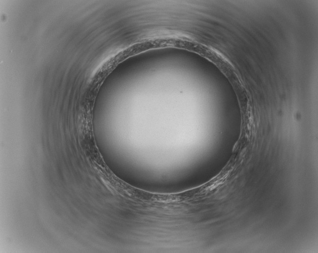 X0000052980775200507221326