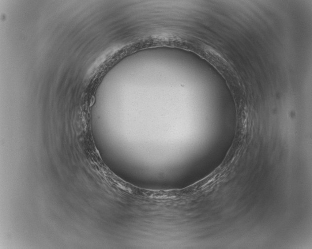 X0000052980776200507221326