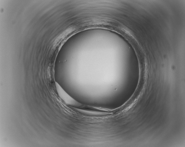 X0000052980777200507221326