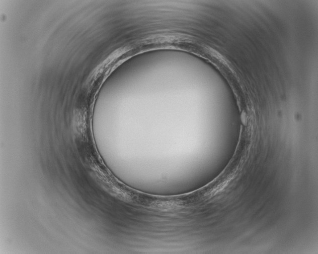 X0000052980778200507221326