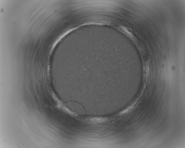 X0000052980779200507221326