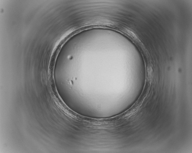 X0000052980780200507221326