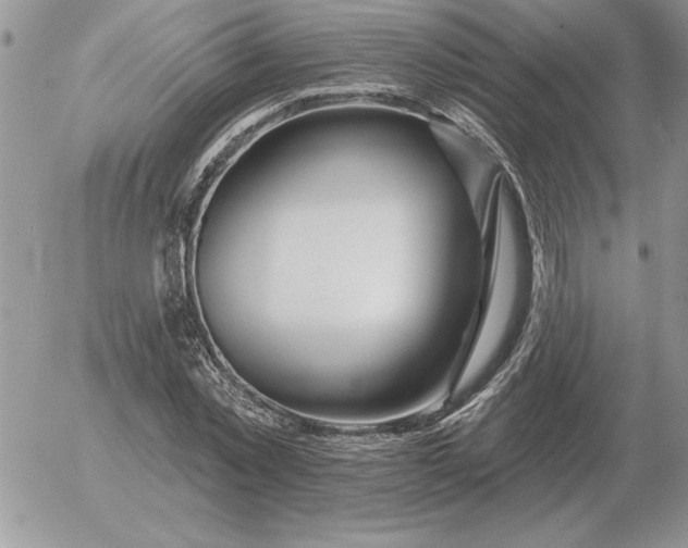 X0000052980781200507221326