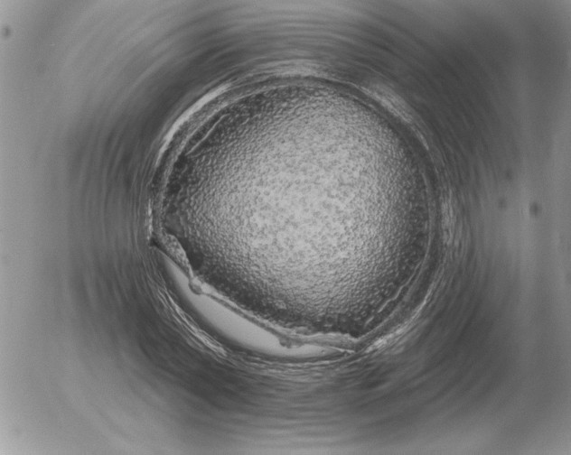 X0000052980782200507221326