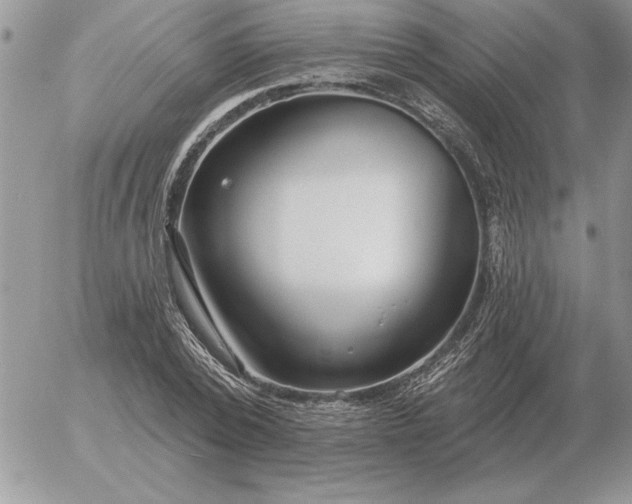 X0000052980784200507221326