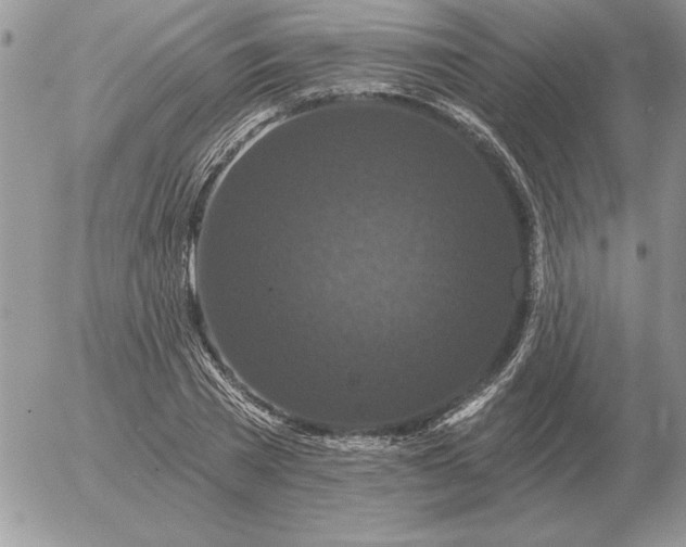 X0000052980785200507221326