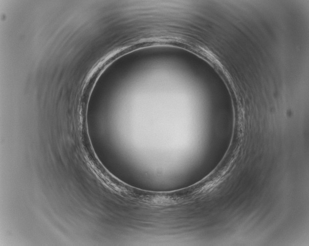 X0000052980787200507221326