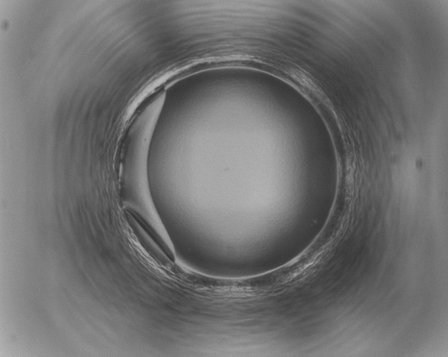 X0000052980789200507221326