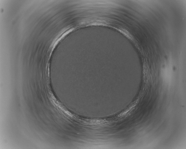 X0000052980790200507221326