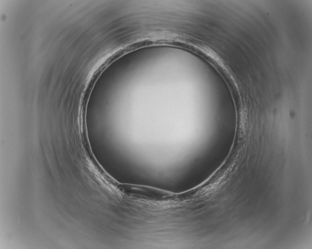 X0000052980791200507221326