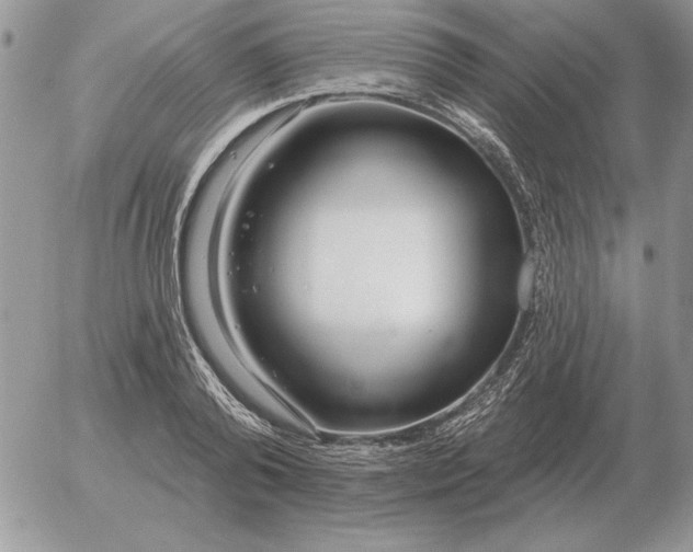 X0000052980792200507221326