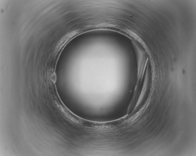 X0000052980793200507221326