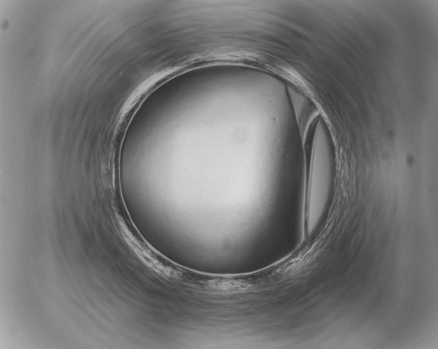 X0000052980795200507221326