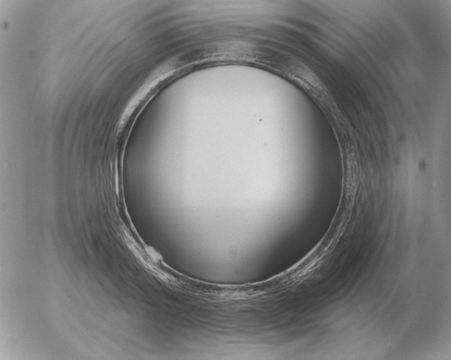 X0000052980796200507221326