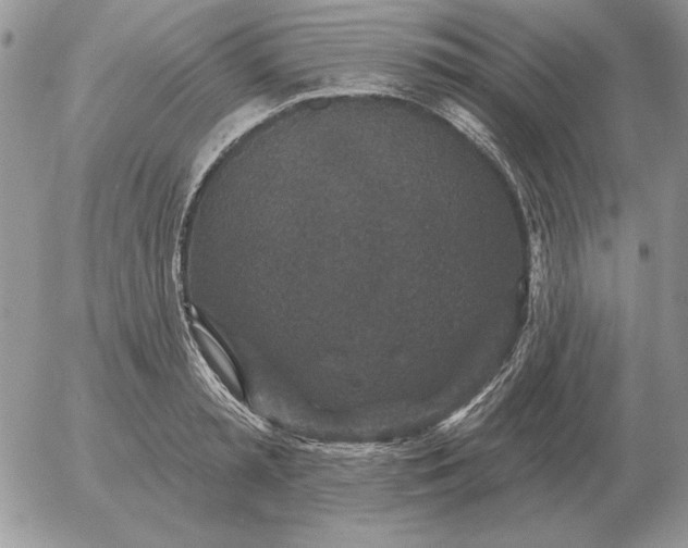 X0000052980797200507221326