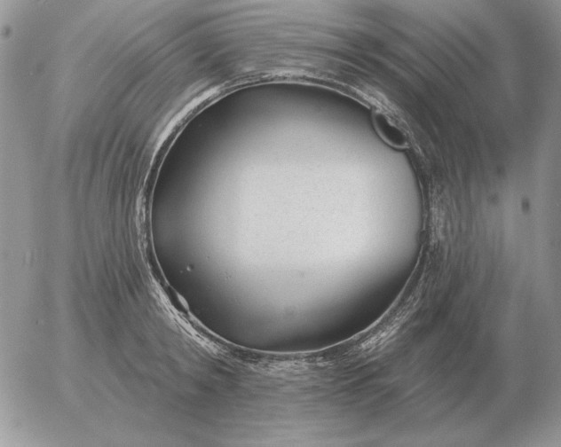 X0000052980798200507221326