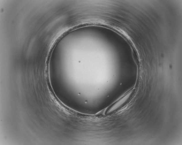 X0000052980799200507221326