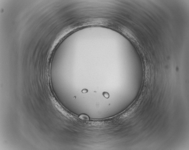 X0000052980800200507221326