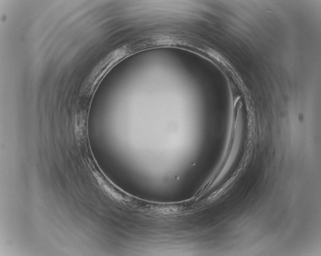 X0000052980801200507221326