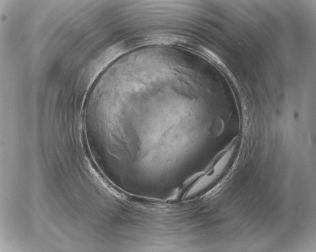 X0000052980802200507221326