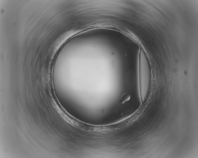 X0000052980803200507221326