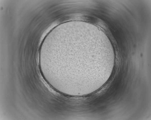 X0000052980804200507221326