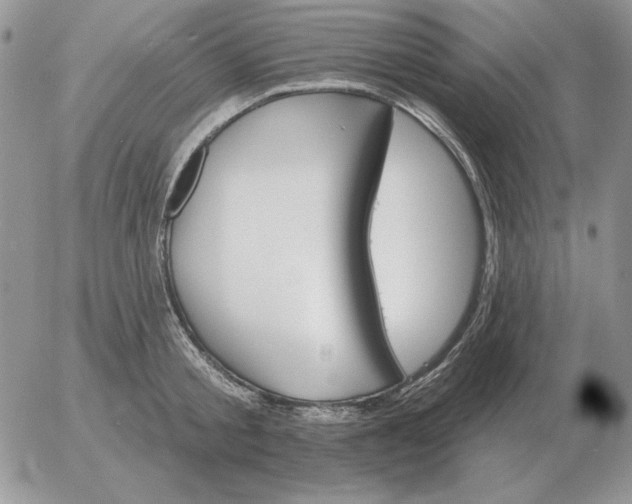 X0000052980805200507221326