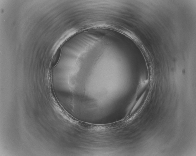 X0000052980806200507221326