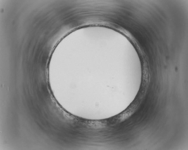 X0000052980807200507221326