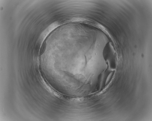 X0000052980810200507221326