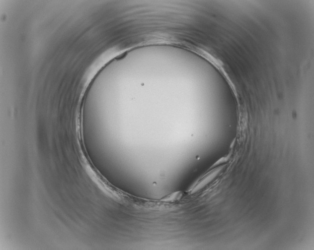 X0000052980811200507221326