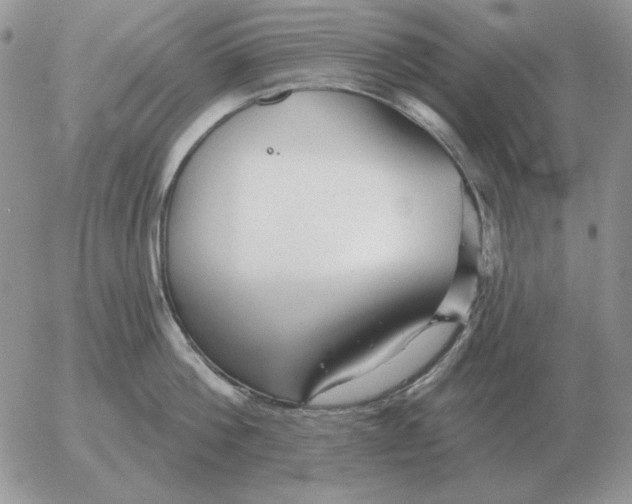 X0000052980812200507221326