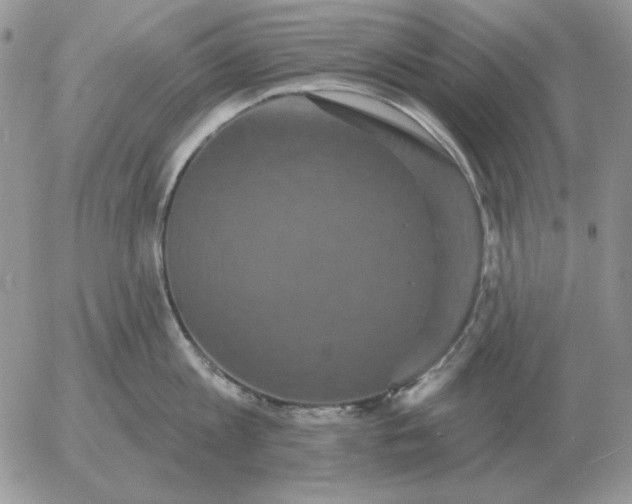 X0000052980813200507221326