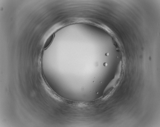 X0000052980814200507221326