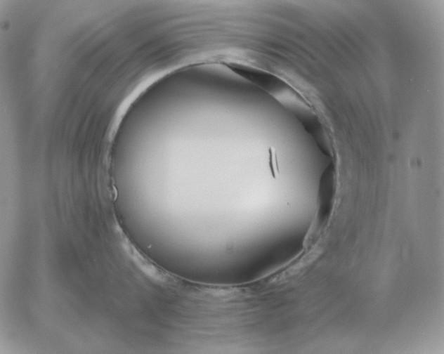 X0000052980816200507221326