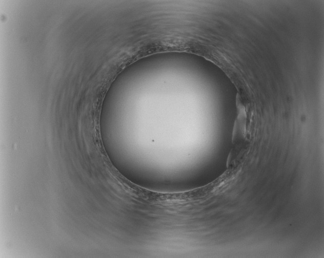 X0000052980817200507221325