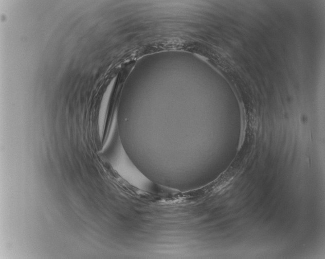 X0000052980818200507221325