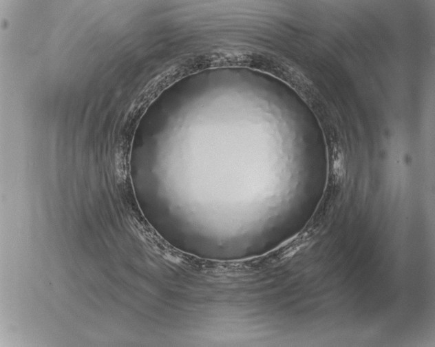 X0000052980819200507221325