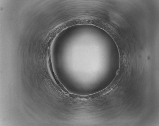 X0000052980821200507221325