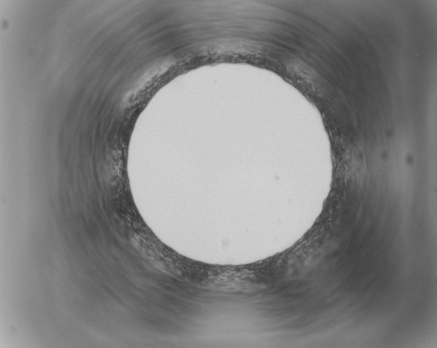 X0000052980824200507221325